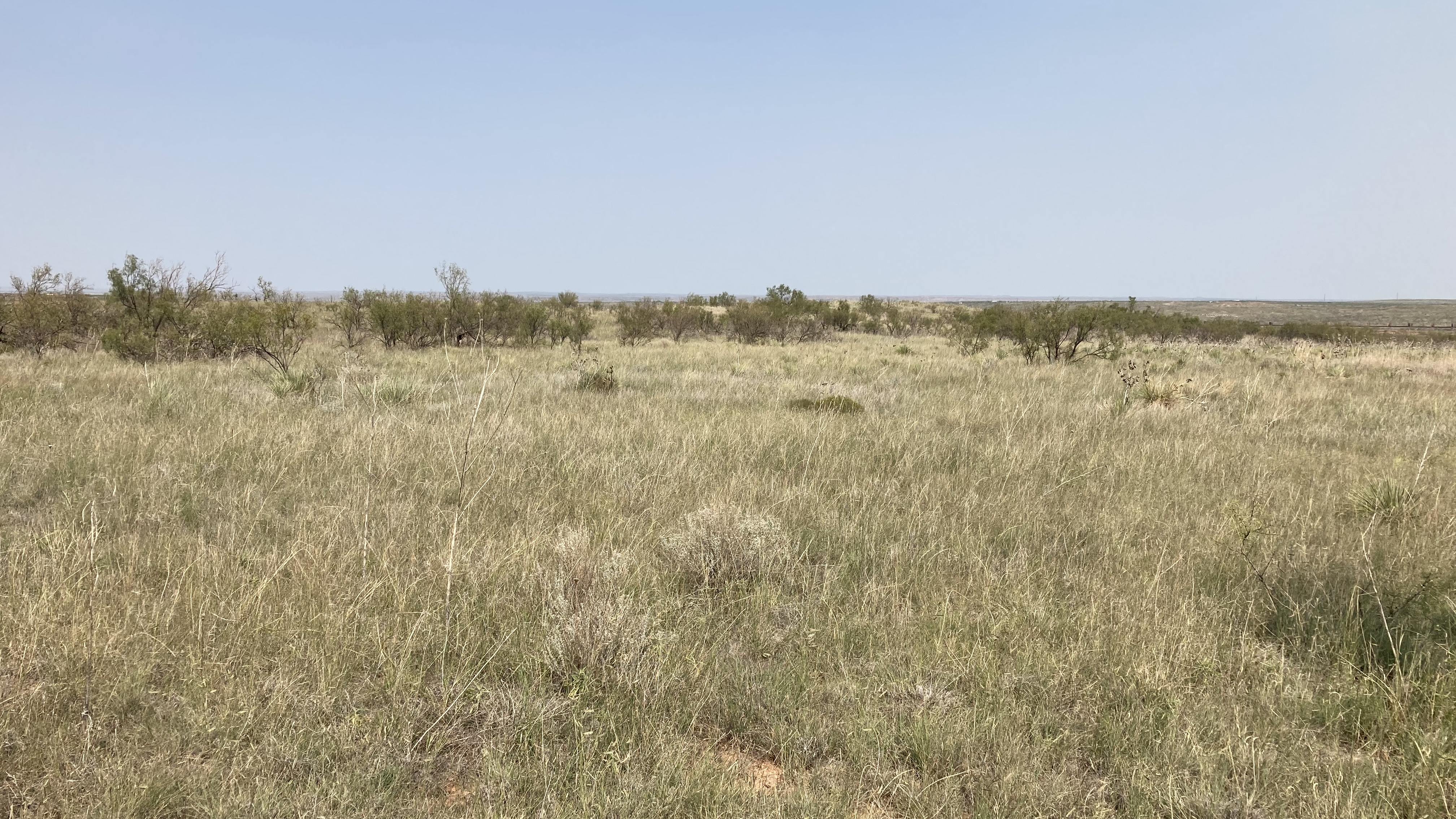 8.82 Acres Near Amarillo, TX – Gateway Land Deals